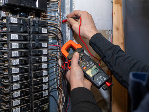 Best Ceiling Fan Installation Electrician  in High Springs, FL
