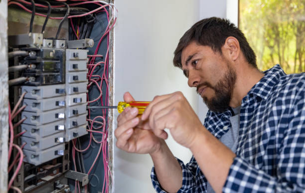 Best Electrical Upgrades for Homes  in High Springs, FL